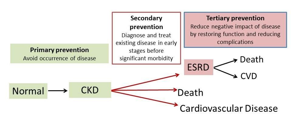 kidney-disease-prevention-kidney-health-research-collaborative